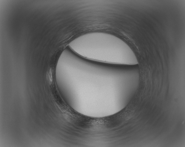 X0000054360075200507290816