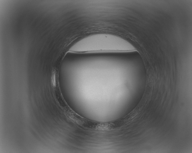 X0000054360076200507290816