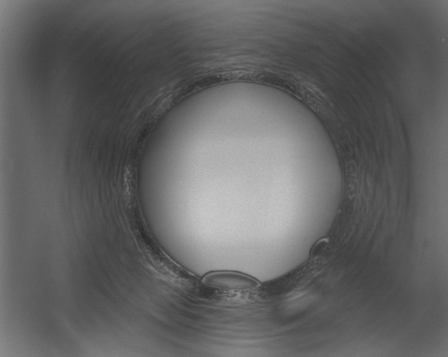 X0000054360077200507290816