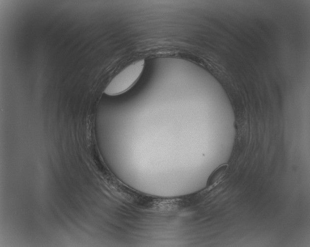 X0000054360078200507290816