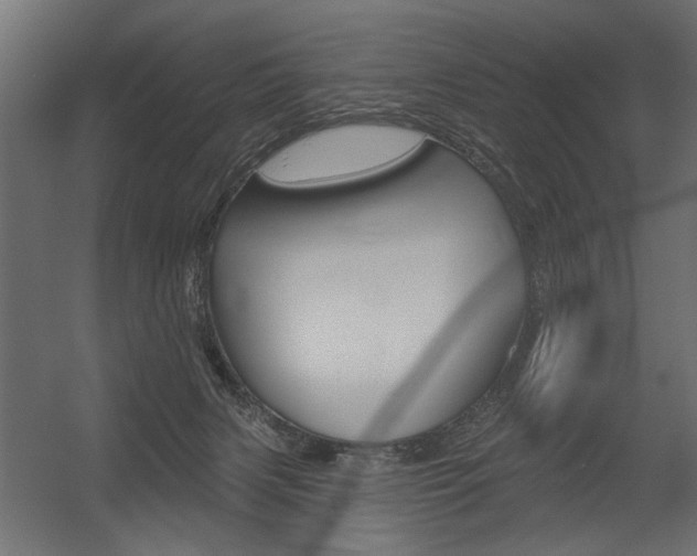 X0000054360079200507290816