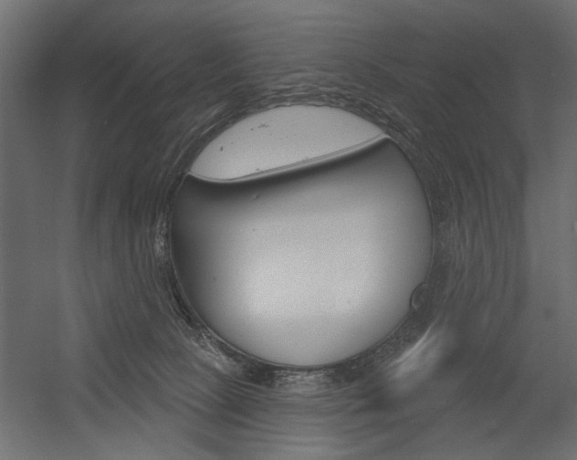 X0000054360081200507290816