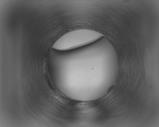 X0000054360082200507290816