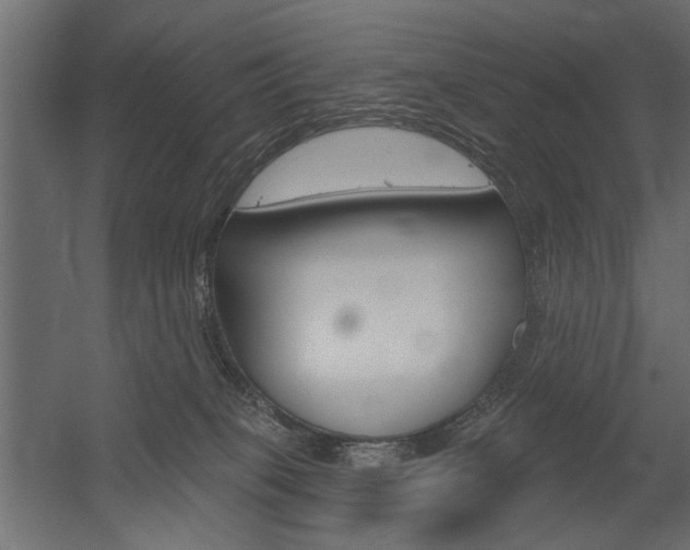 X0000054360085200507290816