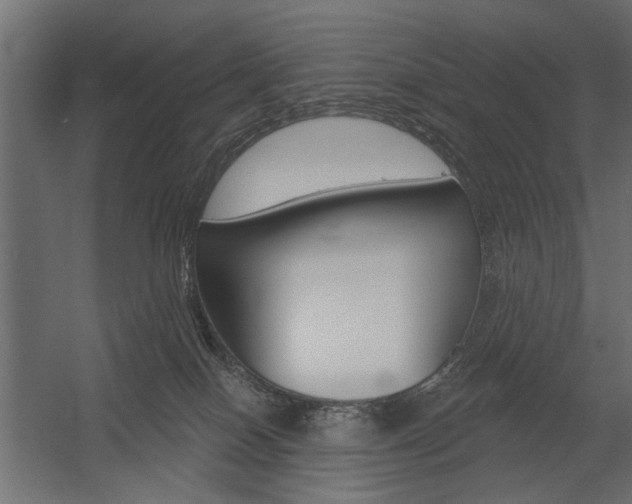 X0000054360086200507290816