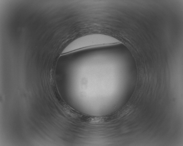 X0000054360088200507290816