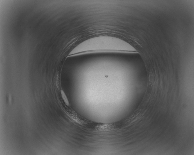 X0000054360092200507290816