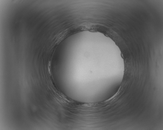 X0000054360094200507290816