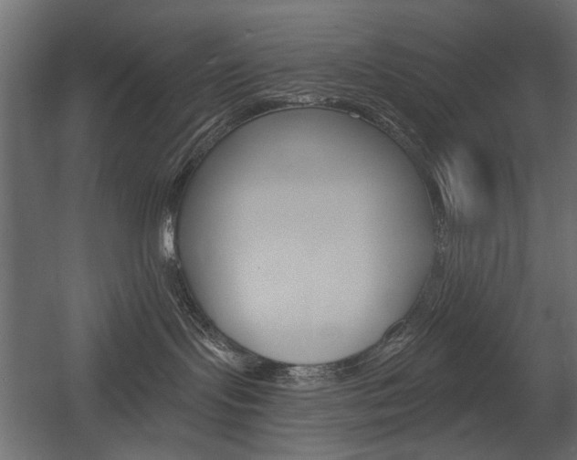 X0000054360095200507290816