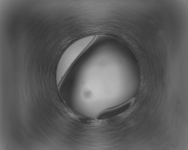 X0000054360096200507290816