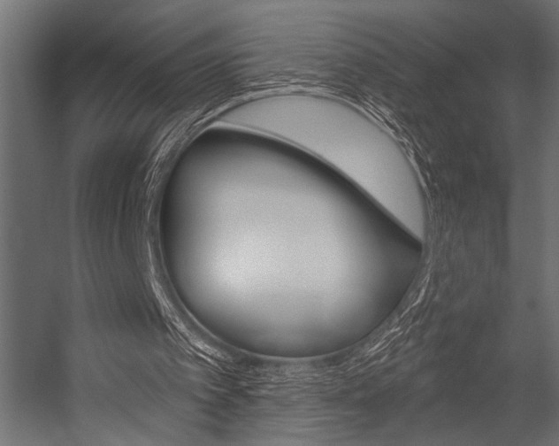 X0000054360097200507290815
