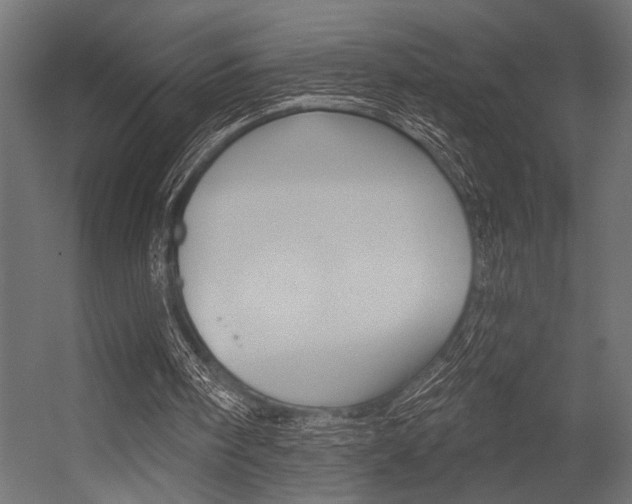 X0000054360098200507290815