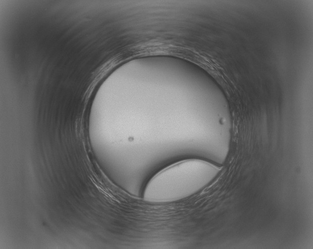 X0000054360099200507290815