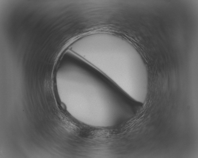 X0000054360100200507290815