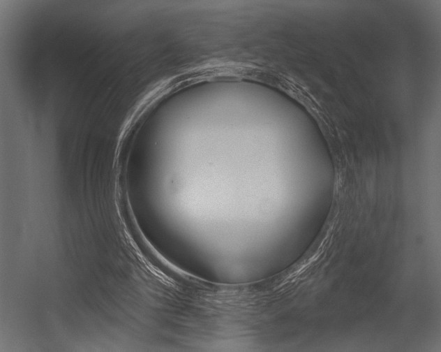 X0000054360101200507290815