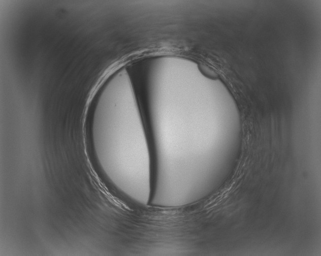 X0000054360102200507290815