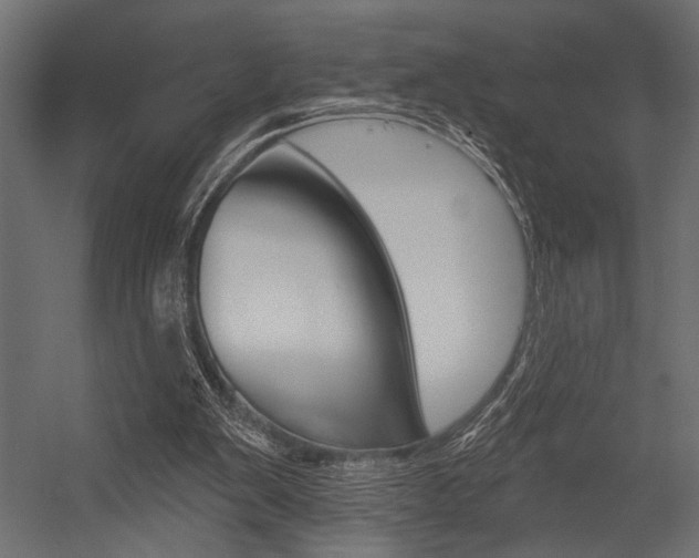 X0000054360103200507290815