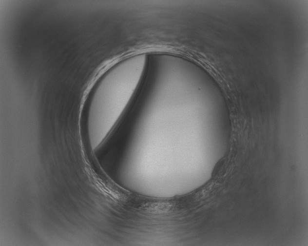 X0000054360104200507290815