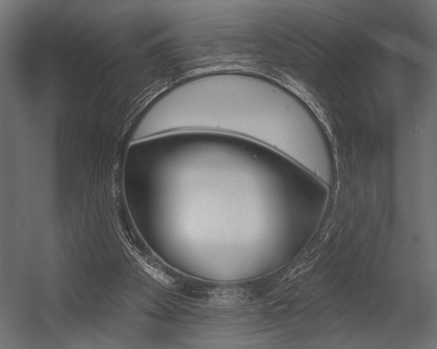 X0000054360105200507290815