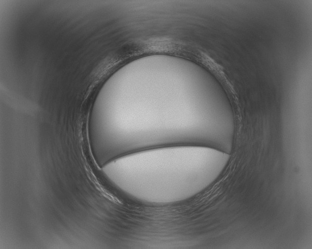 X0000054360106200507290815