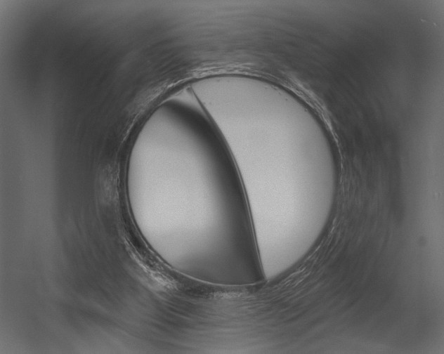 X0000054360107200507290815
