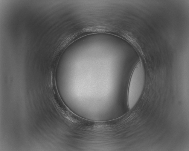 X0000054360109200507290815