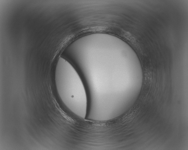 X0000054360110200507290815