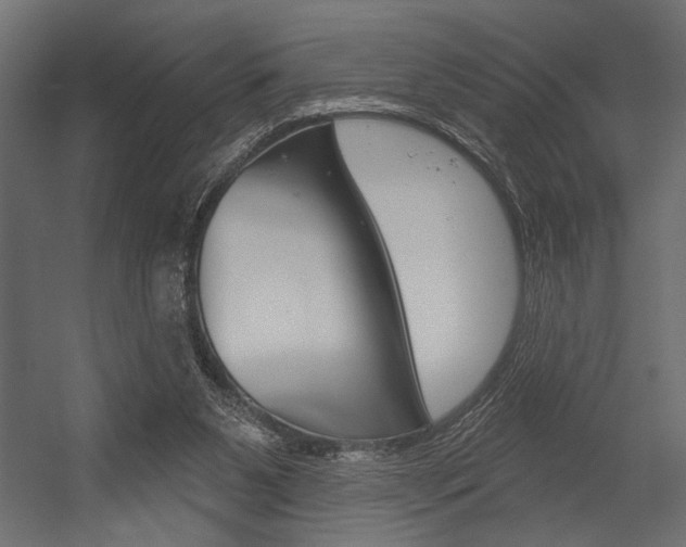 X0000054360111200507290815