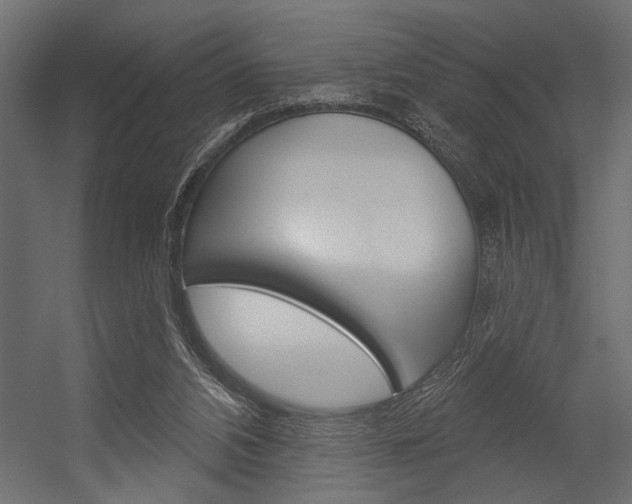 X0000054360112200507290815