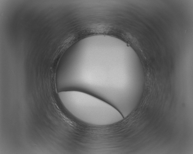 X0000054360114200507290815