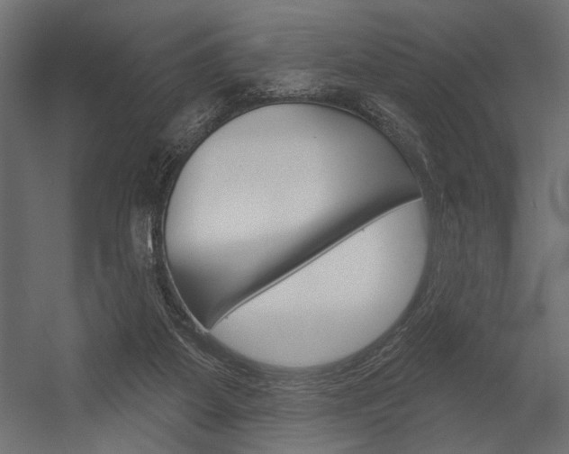 X0000054360115200507290815
