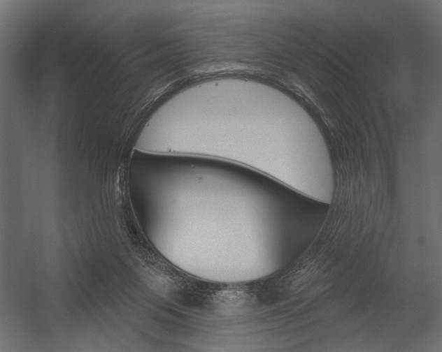 X0000054360119200507290815