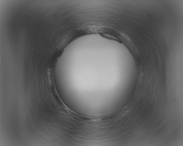 X0000054360121200507290815