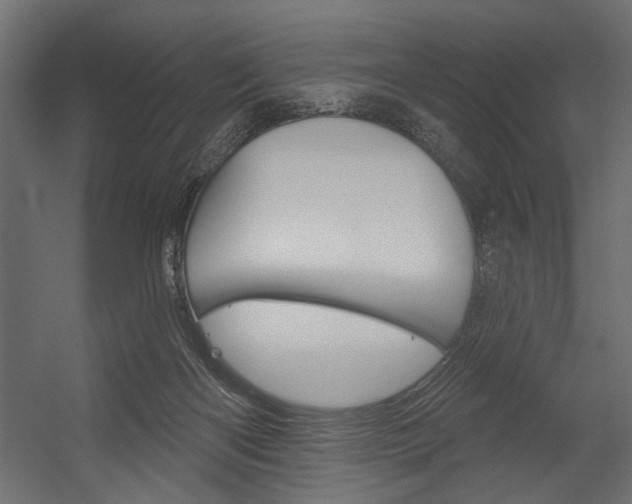 X0000054360122200507290815