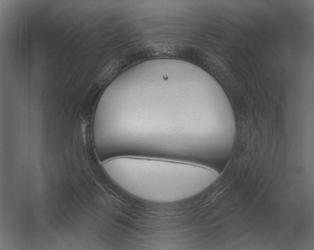 X0000054360123200507290815