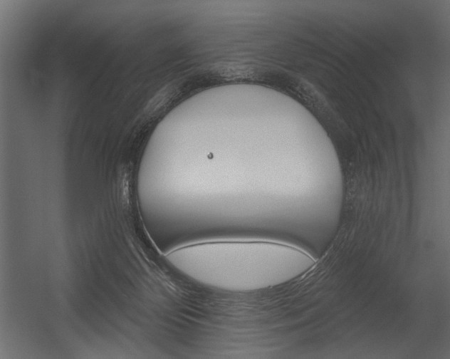 X0000054360124200507290815