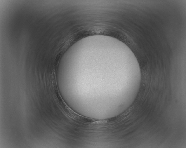 X0000054360126200507290815