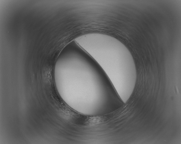 X0000054360127200507290815