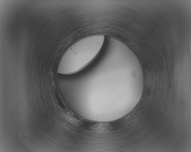 X0000054360128200507290815