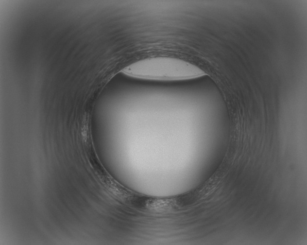 X0000054360129200507290815