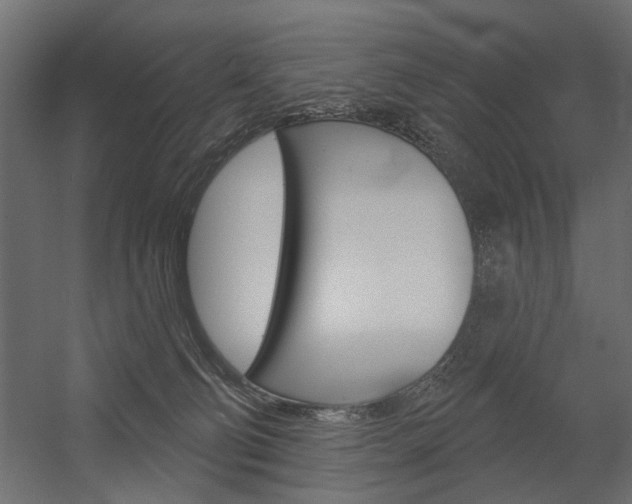 X0000054360130200507290815