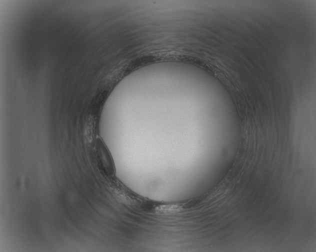 X0000054360133200507290815