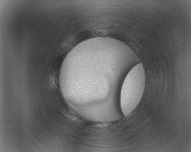 X0000054360134200507290815