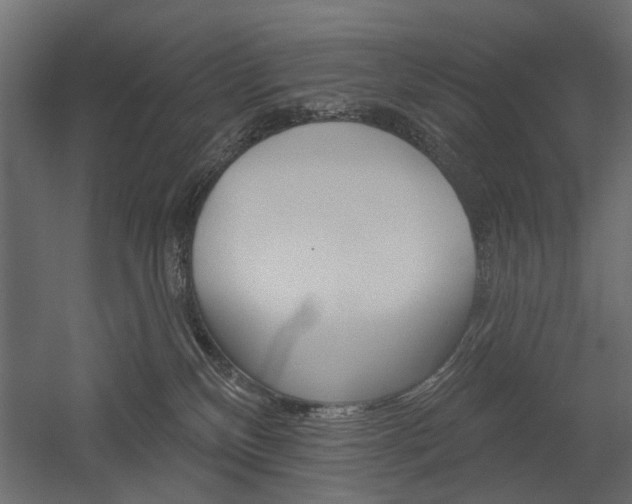 X0000054360136200507290815