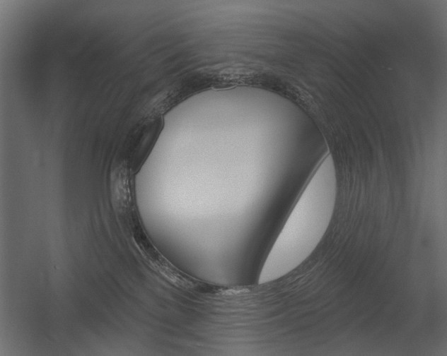 X0000054360137200507290815