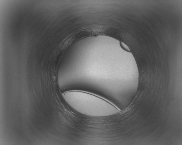 X0000054360140200507290814