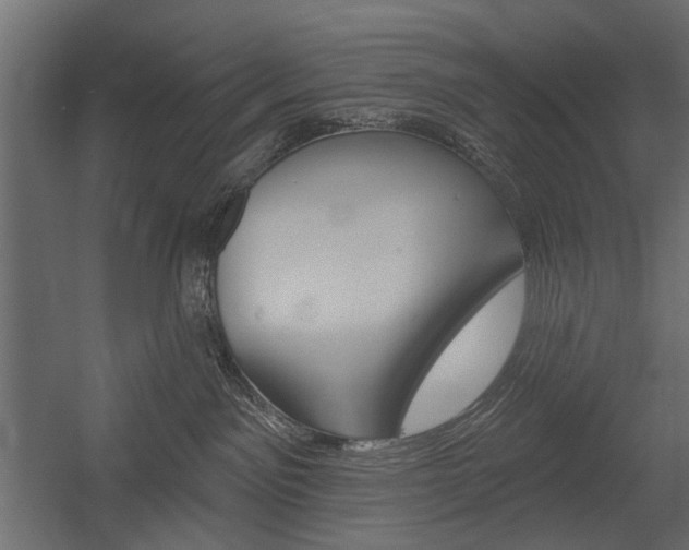 X0000054360141200507290814