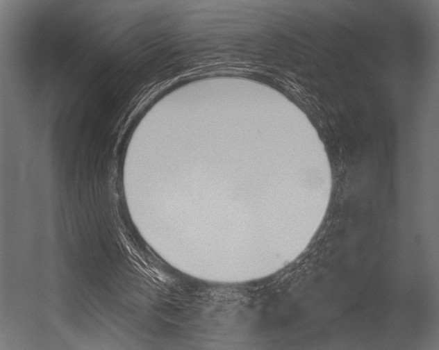 X0000054360146200507290814