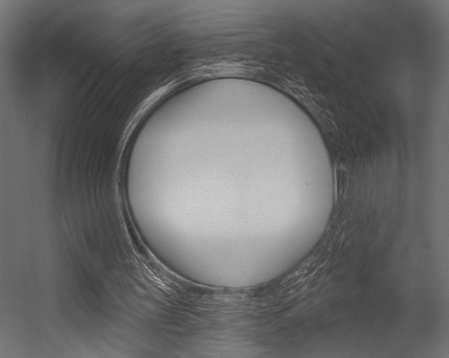 X0000054360147200507290814