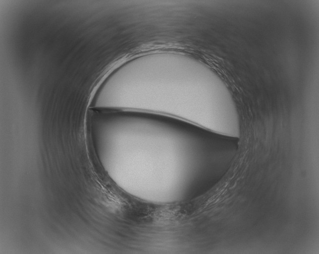 X0000054360148200507290814